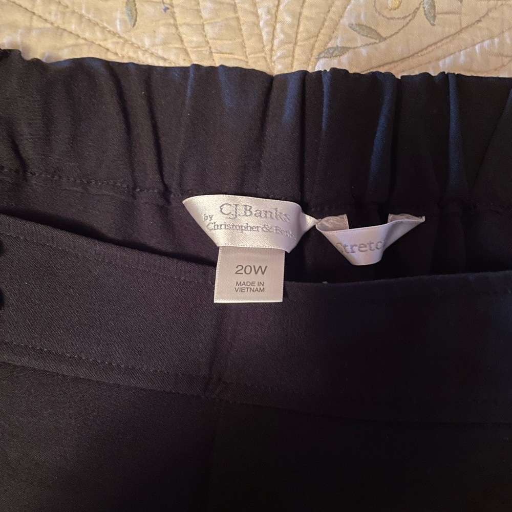20W black CJ Banks petite pants.